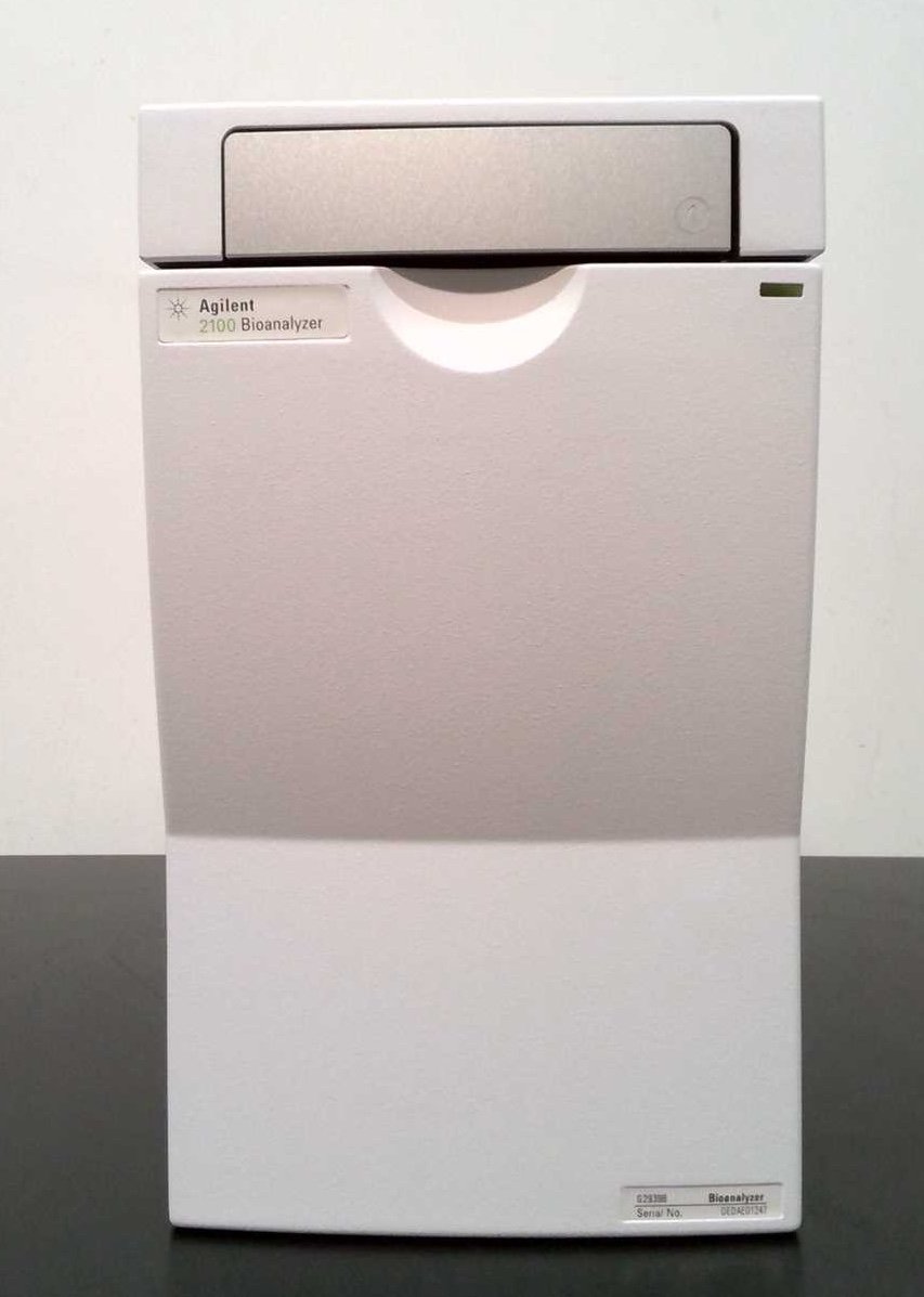 Bioanalyser