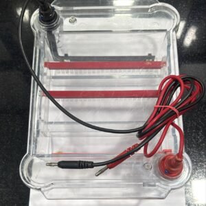 Horizontal Agarose Gel Electrophoresis System